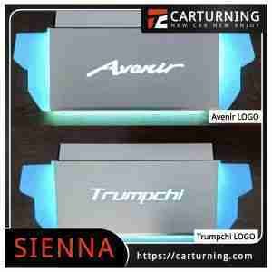 Toyota Sienna Pedal Crystal mid row pedals.004