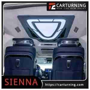 Toyota Sienna Roof Light Galaxy ceiling light.003
