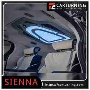Toyota Sienna Roof Light Galaxy ceiling light.007