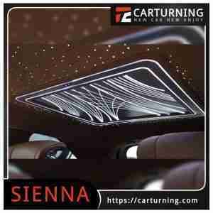 Toyota Sienna Roof Light Prussian ceiling light fireworks.001