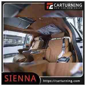 Toyota Sienna Roof Light Prussian ceiling light fireworks.002