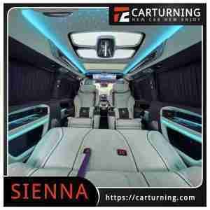 Toyota Sienna Roof Light Purple diamond model.001