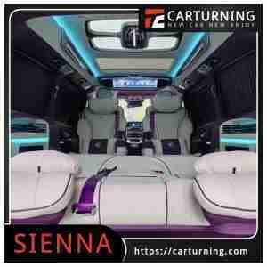 Toyota Sienna Roof Light Purple diamond model.002