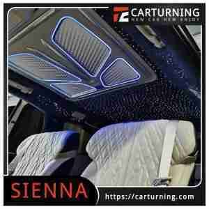Toyota Sienna Roof Light butterfly style.005