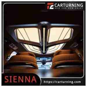 Toyota Sienna Roof Light falcon one.008