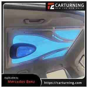 Benz V Class:Vito headliner Dragon Soaring Style Car Roof Lamp 5