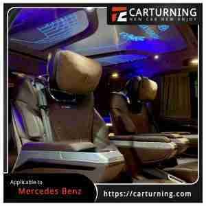 Benz V Class:Vito headliner Tiffany ceiling lamp (flying style) 6