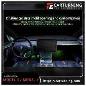 Tesla Model 3:Model Y Ambient light Laser carving ambient light.002