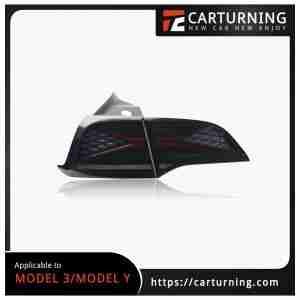 Tesla Model 3:Model Y Electronic appliances Blackened taillight starry sky style.002
