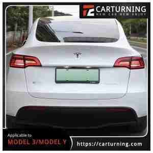 Tesla Model 3:Model Y Electronic appliances Hawkeye taillights.007