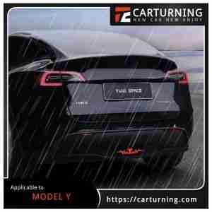 Tesla Model Y Pilot light exciting style.005